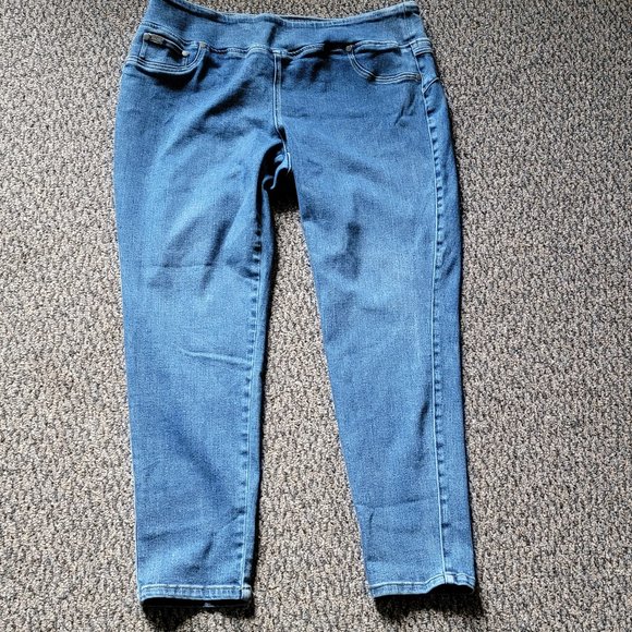 DG2 by Diane Gilman Light Wash Stretch Jeggings Size 1X - Picture 5 of 13